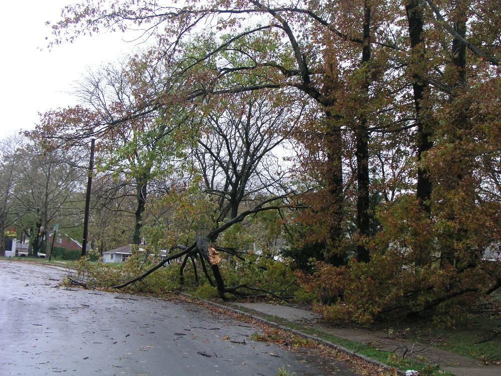 Disaster Operations 3